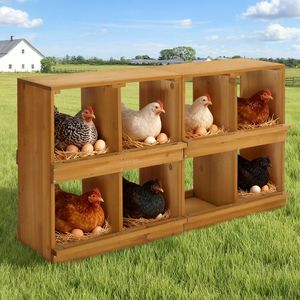 Nidi per Galline Tipo H in Legno, Cassetta per Deposizione Uova con 8 Scomparti per Allevamenti di Galline e Anatre, Giallo - Product Image 4