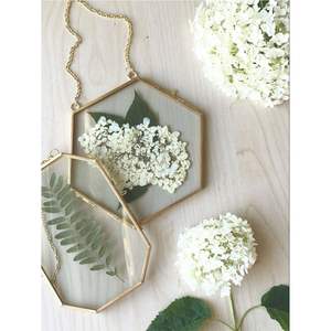 Cadre photo flottant mini en verre style nordique, en métal doré/noir antique, pour photos, plantes et spécimens, à suspendre ou à poser sur un bureau - Product Image 6