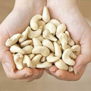OEM ODM Vietnam W180 W320 W240 Cashew Nuts Roasted Salted Whole sale Vietnam cashew nuts premium cashew Packed Manufacture - Product Image 1