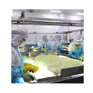 EXPORTING LARGE QUANTITIES of ALOE VERA JELLY at AFFORDABLE PRICES FROM VIETNAM - Product Image 6