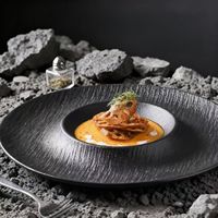 Assiettes en porcelaine artisanales de style japonais, texture organique, blanc et noir, bord large, finition mate sous glaçure, durables, sans BPA