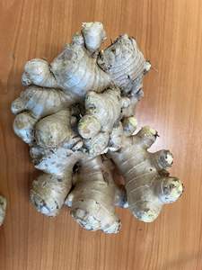 Exportador de Jengibre Fresco de Vietnam que Suministra Jengibre Natural Premium para Compradores al por Mayor que Importan Pedidos de Contenedores Completos a Todo el Mundo - Product Image 2