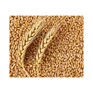 Bulgur Turco Orgánico Premium, Trigo Seco, Sin OMG, Parboilizado, Grano Entero, Integral - Product Image 6