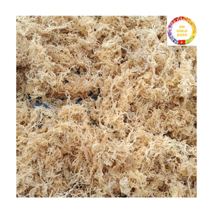 Musgo Marino para el Cuidado de la Piel |   Algas Marinas Secas Naturales |   Orgánico Crudo |   Exportación al por Mayor - Product Image 3