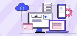 Tableau de bord de la passerelle API pour les intégrations tierces, compatible MAC, en stock, version Internet - Product Image 2