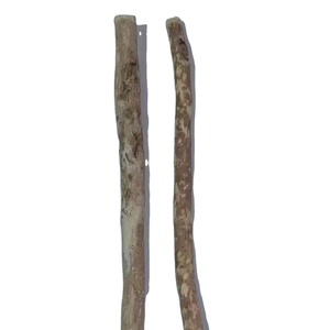 Bâtonnets de Miswak purs, soins bucco-dentaires naturels, alternative aux brosses à dents, bâtonnets à mâcher traditionnels pour des soins dentaires quotidiens pratiques - Product Image 1
