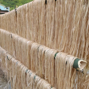 Approvisionnement en Fibre de Banane en Gros - Matière Première Durable pour la Production de Cordes, Tissus et Papier - Product Image 1
