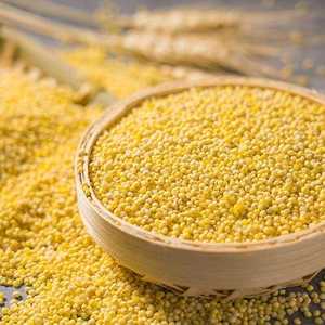 Mijo Amarillo Pequeño Entero Crujiente 100% Natural de Alta Calidad de la India - Product Image 1