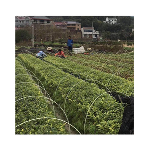 Wholesale High Strength Fiberglass <b>Rods</b>, Fiberglass Agricultural Arch Poles - Product Image 1