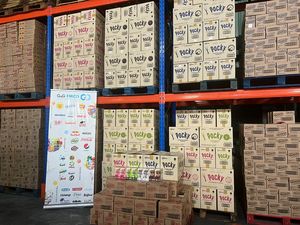 Wholesale Toonies Chicken Flavor <b>Snack</b> 32g Savory <b>Snack</b> Competitive Price Hot Selling Export Supplier - Product Image 5