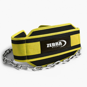 Popular ZEBRA SPORTS Custom Made Heavy Duty Weightlifting Dip <b>Training</b> Belt Chain Neoprene Gym Fitness Pull Workout Double - Product Image 1