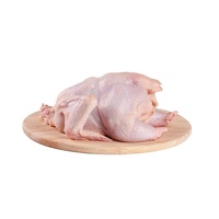 Poulet entier surgelé disponible pour l'exportation en gros, nettoyé et prêt à cuire pour les acheteurs de l'industrie alimentaire