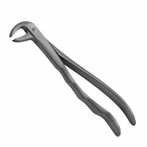 Pinzas de Extracción de Cenizas Dentales, Instrumento Quirúrgico de Acero Inoxidable para Eliminación de Dientes, Herramienta Profesional para Cirugía Oral - Product Image 3