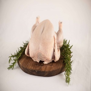Pollo Entero Congelado de Primera Calidad al por Mayor para Grandes Pedidos, Ideal para Restaurantes y Hoteles - Product Image 3