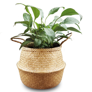 Article en gros Jardinière en osier biodégradable Canne de jute Wiwin de bonne qualité, grands pots de fleurs d'intérieur faits à la main et plantes d'herbe de mer - Product Image 3