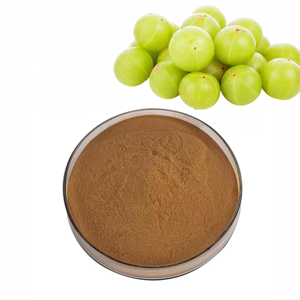 Polvo de Amla 100% Puro OEM, Origen India, Polvo de Grosella Rica en Vitamina C, Antioxidantes para el Crecimiento del Cabello y la Salud de la Piel - Product Image 3