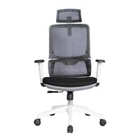 Chaise de travail ergonomique en maille 2W-HR-Appui-tête et accoudoir réglables, siège en contreplaqué avec mousse et tissu