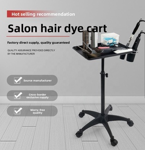 Modern Stainless Steel Black Heavy-Duty Dyeing Bracket Cart Single Layer Thickened Hairdressing <b>Tool</b> Salon <b>Trolley</b> Commercial - Product Image 3