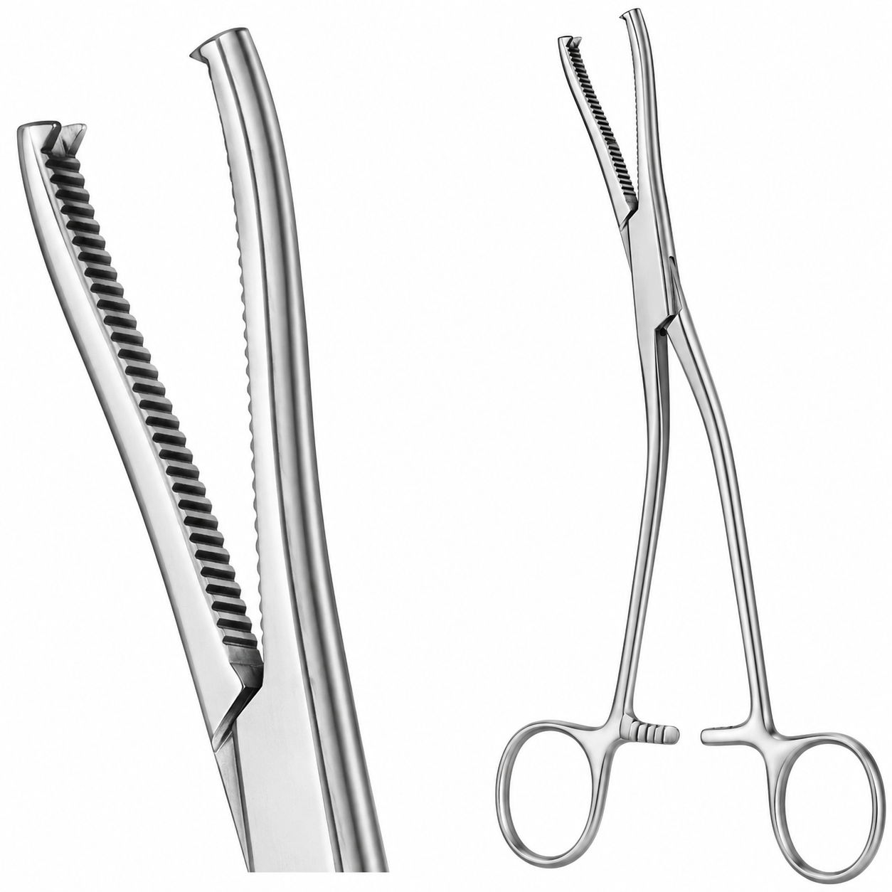 Small narrow jaws.