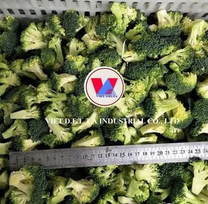 Mejor precio, brócoli congelado IQF, verduras verdes, brócoli fresco congelado, verduras saludables de Vietnam/ Sra. Kana - Product Image 1