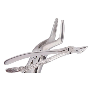 Nuevo Juego de 10 Pinzas de Extracción Dental Reutilizables de Acero Inoxidable, Instrumentos Dentales Manuales con Certificación CE Clase I - Product Image 4