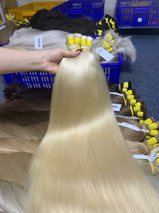 Extensions de cheveux humains vierges en vrac vietnamiens NASA HAIR, super double drawn, couleur blond naturel 613ASH, 30 pouces - Product Image 2