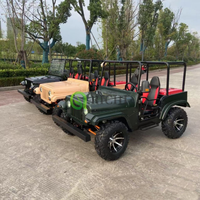 Mini jeep électrique pas cher à 2 places, 4 roues, 125cc, 150cc, 200cc, 250cc, essence, ATV, voiture adulte, jeep, moteur à essence, jeep à grande vitesse