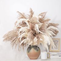 Dekorasi Rumah Boho Rumput Pampas Kering Alami Buket Bunga Kering Terawetkan 96/100/220pcs DIY Rangkaian Bunga Pernikahan