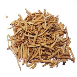 Premium Chlorophytum Borivilianum Root Powder Indian <b>Spider</b> Plant Herbal Extract for Health and Wellness Applications - Product Image 2