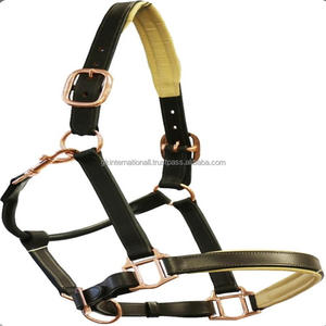 Nouveau design Beau licou de cheval en cuir anglais noir Caractéristiques raccords en or rose avec nez et pièce de tête rembourrés crème - Product Image 5