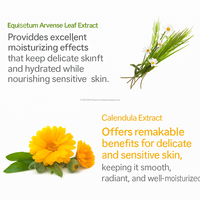 K Beauty Exfoliant Visage Herbal Purifiant à l'Aloe Vera, Extrait de Feuille d'Equisetum Arvense, Panthénol, Calendula, Romarin pour Soin des Pores