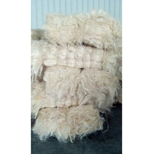 Fibre de sisal longue et durable pour la production de cordes, la fabrication de tapis et l'industrie des brosses - Product Image 1