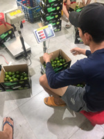 Verse Vietnam Pitloze Citroenen Geteeld Onder Tropisch Zonlicht Natuurlijk Gerijpt Verpakt Voor Supermarkten Restaurants En Detailhandel