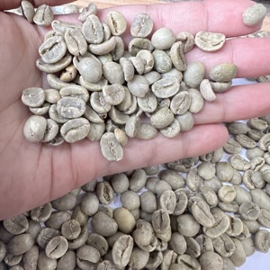 เมล็ดกาแฟเวียดนามอาราบิก้าสีเขียว SCR16 SCR18 แบบล้างสะอาด ไม่ผ่านกระบวนการคั่ว จำหน่ายเป็นปริมาณมากสำหรับผู้นำเข้าและผู้คั่วกาแฟในสหรัฐอเมริกา/ ANNA - Product Image 1