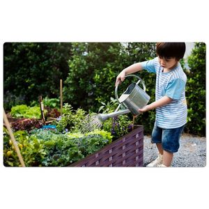 Fioriere Rialzate in Plastica (Confezione da 2) Alte 37 cm per Orto Interno ed Esterno, Ideali per Verdure, Frutta, Fiori ed Erbe Aromatiche - Product Image 6