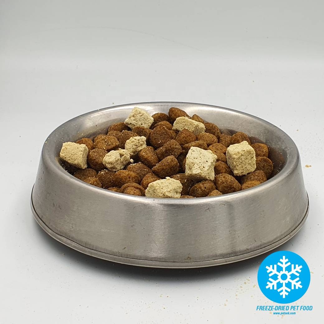Can You Refrigerate Dry Dog Food