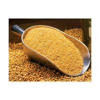 Farine de soja dégraissée prête à l'exportation du Brésil, protéine de soja pour l'alimentation du bétail et de la volaille