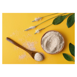 Coques de Psyllium de Qualité Supérieure, Fibres Naturelles en Vrac, Commandes Personnalisées Disponibles - Product Image 2