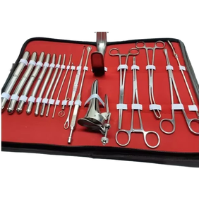 Kit dentaire, ensemble d'instruments dentaires professionnels approuvés par les dentistes, instruments de chirurgie dentaire, ensemble d'instruments personnalisés - Product Image 1