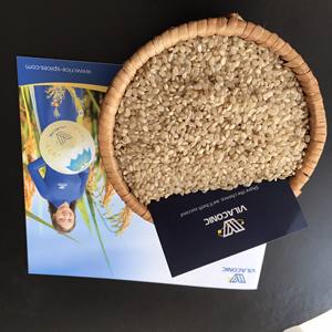 Arroz Integral de Grano Largo de Vietnam, Nueva Cosecha, Alta Calidad, 100% Natural, 5% de Grano Partido, Seco, Bien Molido, Textura Suave. Contacto +84398885178 - Product Image 5