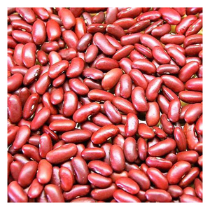 Haricots rouges de haute qualité pour la santé, en vente, meilleure qualité, forme allongée, haricot rouge foncé - Product Image 4