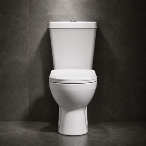 Inodoro de Cerámica Moderno de Dos Piezas Irani, Doble Descarga, Diseño Ecológico, S-trap, P-trap, Desodorizante, Montaje en Suelo, para Hospital y Villa - Product Image 5