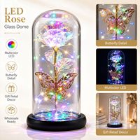 Rose éternelle sous cloche en verre LED, papillon décoratif, lumière florale LED, rose irisée, cadeau