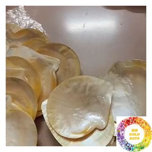 Rodajas de Concha de Nácar Multicolor: Blanco, Crema, Gris Plateado, Negro, Marrón, Beige, Dorado, Iridiscente, Piezas de Concha Natural - Product Image 2