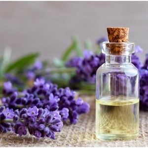 Huiles essentielles de lavande 100 % naturelles pour le massage corporel et l'aromathérapie, huile de lavande provenant d'un fournisseur indien - Product Image 2