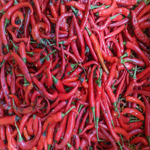 Export en gros de piments rouges entiers 100 % purs d'Inde par Fittree International, durée de conservation de 24 mois pour la distribution mondiale - Product Image 5