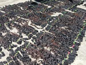 Extensiones de Cabello Humano Remy Indio de Lujo 12A, Doble Trama, Doble Extracción, Todos los Colores, Rizado Ondulado Profundo, Cutícula Alineada, BGGME Sin Procesar, 100g - Product Image 6