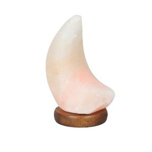 Wholesale Custom Carved Himalayan Pink Salt Crescent Moon Lamp B2B Export Quality - Product Image 4