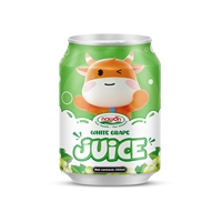Jus de Purée d'Hibiscus Sain pour Enfants 250ml en Conserve – Fabricant de Boissons du Vietnam – Vente en Gros Marque Privée