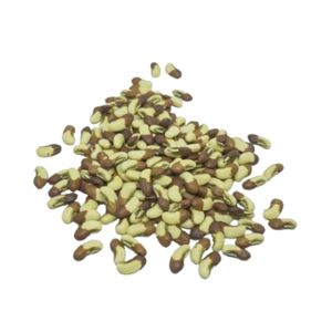 Semillas de Frijol Largo BCA-EH de Primera Calidad, Alta Germinación, Calidad Premium, 100% Puro, Indonesio Jember, Superventas, 6 Meses de Duración - Product Image 4